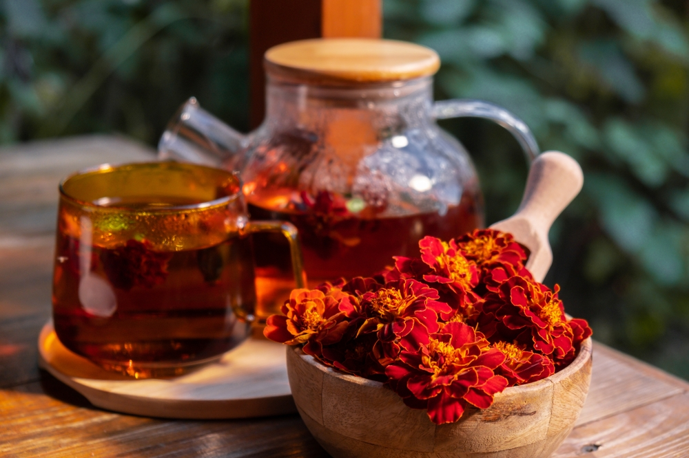 immune boosting herbs