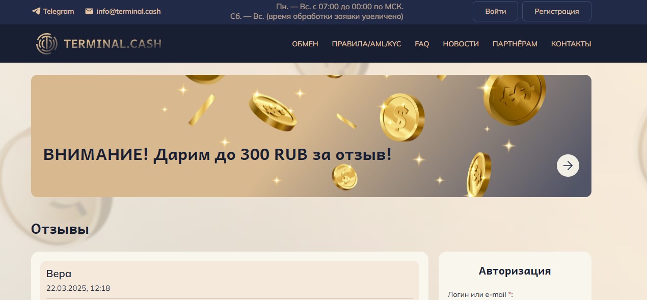 Terminal.cash обзор