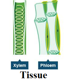 A group of test tubes

Description automatically generated with low confidence