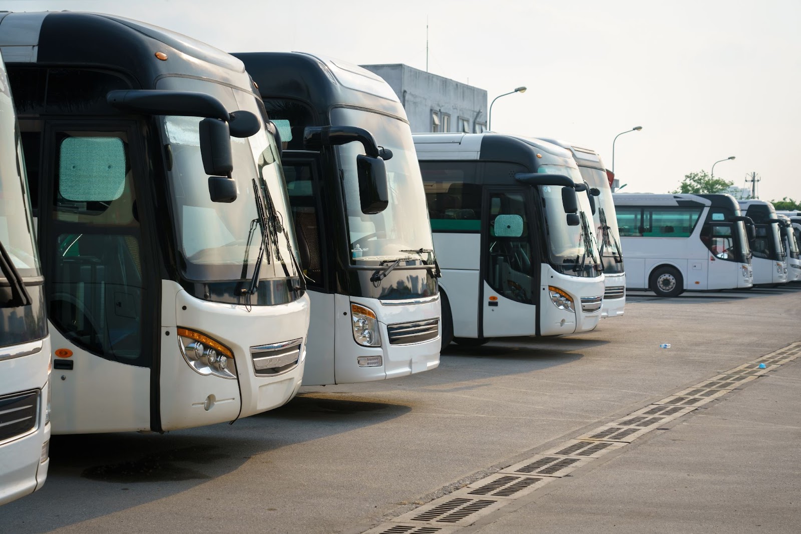 Автобусы