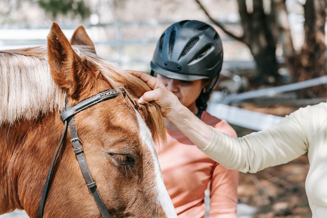 Free A woman grooms her horse outdoors, focusing on its mane, in a sunlit stable area. Stock Photo