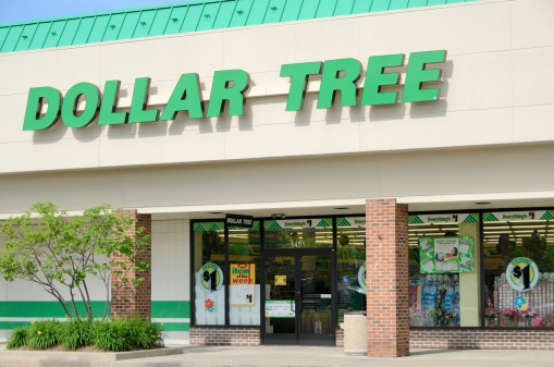 Dollar Tree paystub