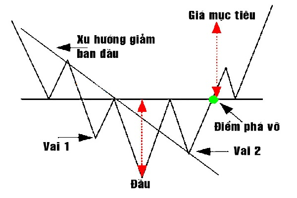 Các yếu tố cấu thành mô hình vai đầu vai