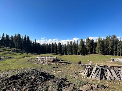 Harunta Bugyal