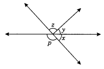 Lines and Angles Class 7 Extra Questions Maths Chapter 5 Q13