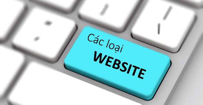 Có bao nhiêu loại website phổ biến hiện nay?