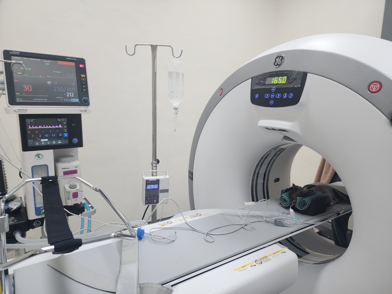 เครื่อง CT Scan สัตว์เลี้ยง โรงพยาบาลสัตว์อารักษ์