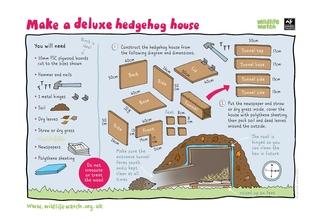 Make a deluxe hedgehog house