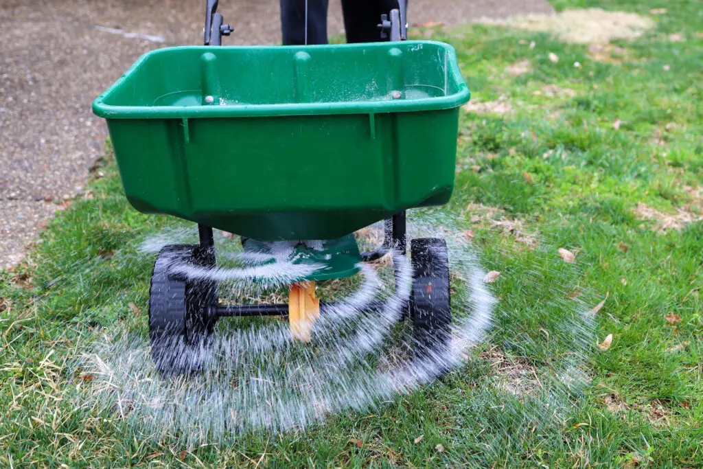 Application of Lawn Fertilizer