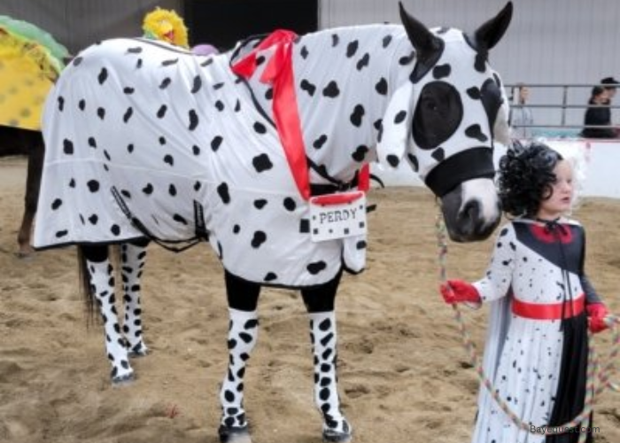 Horse Costume Ideas