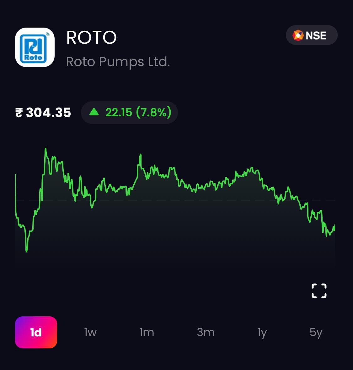 Roto Pumps Stock Price