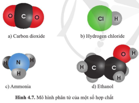 BÀI 4. PHÂN TỬ, ĐƠN CHẤT, HỢP CHẤT 