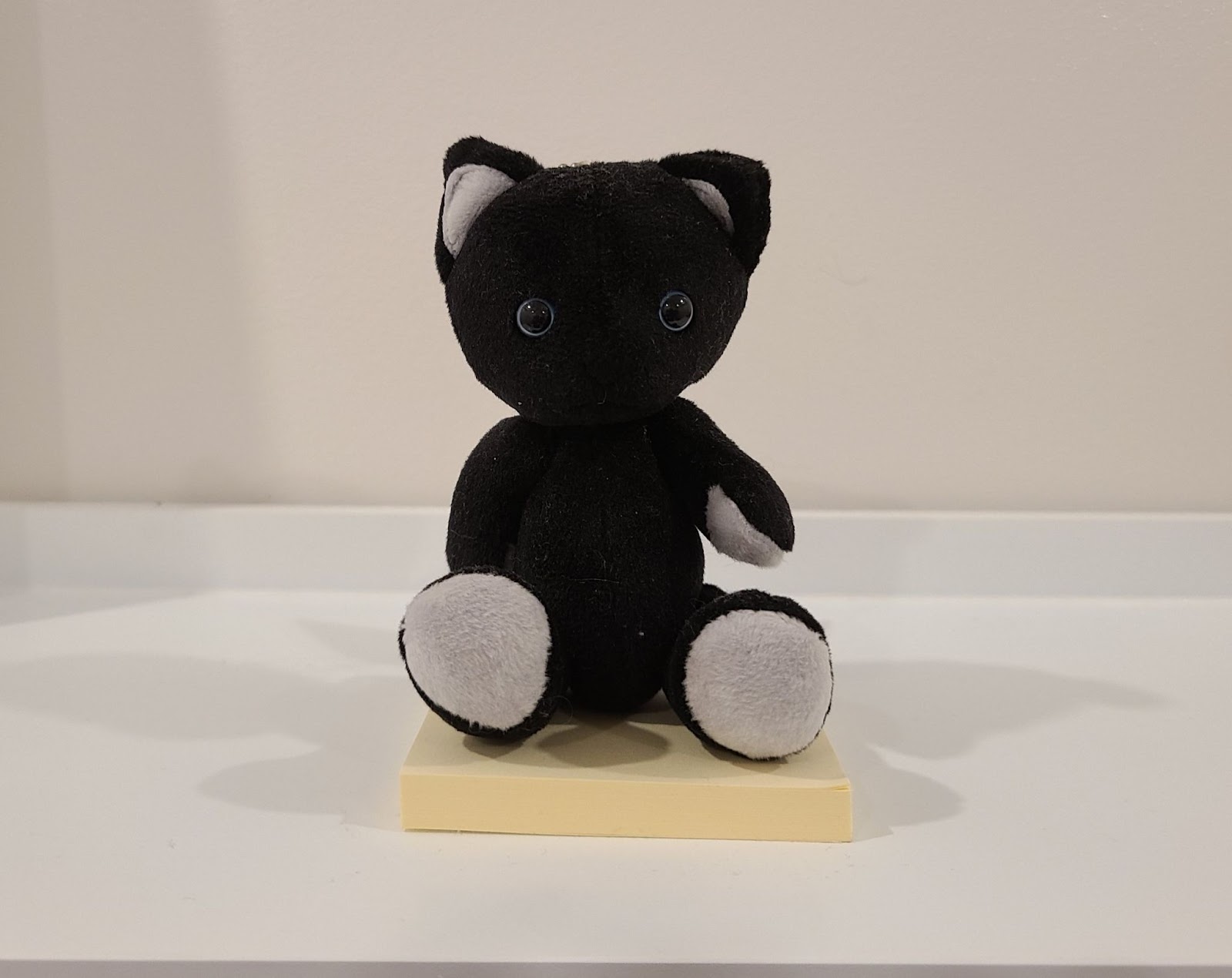 A small black cat stuffed animal with gray paws and inner ears. Little is distinguishable from his face except for his big shiny eyes, his pupils huge and black, ringed by a tinge of blue iris. Photographed on a white shelf.