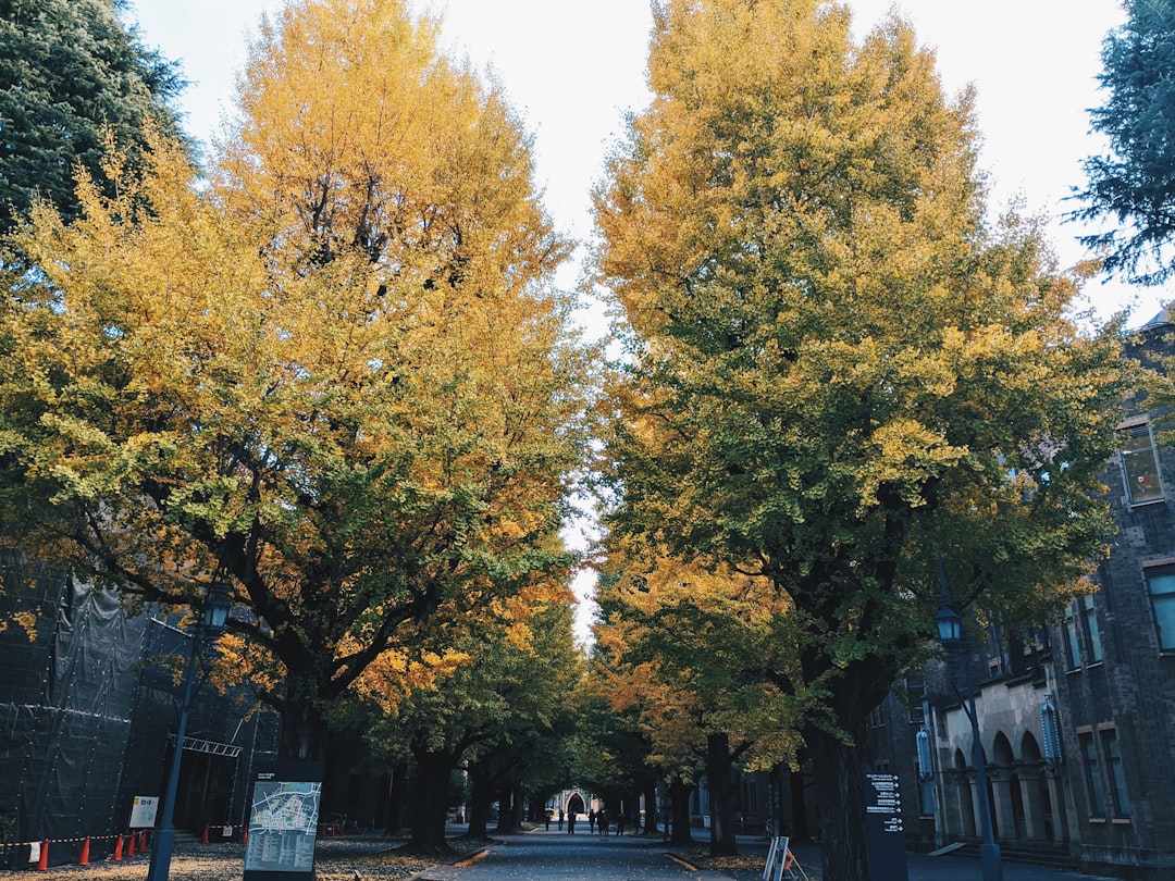 University of Tokyo