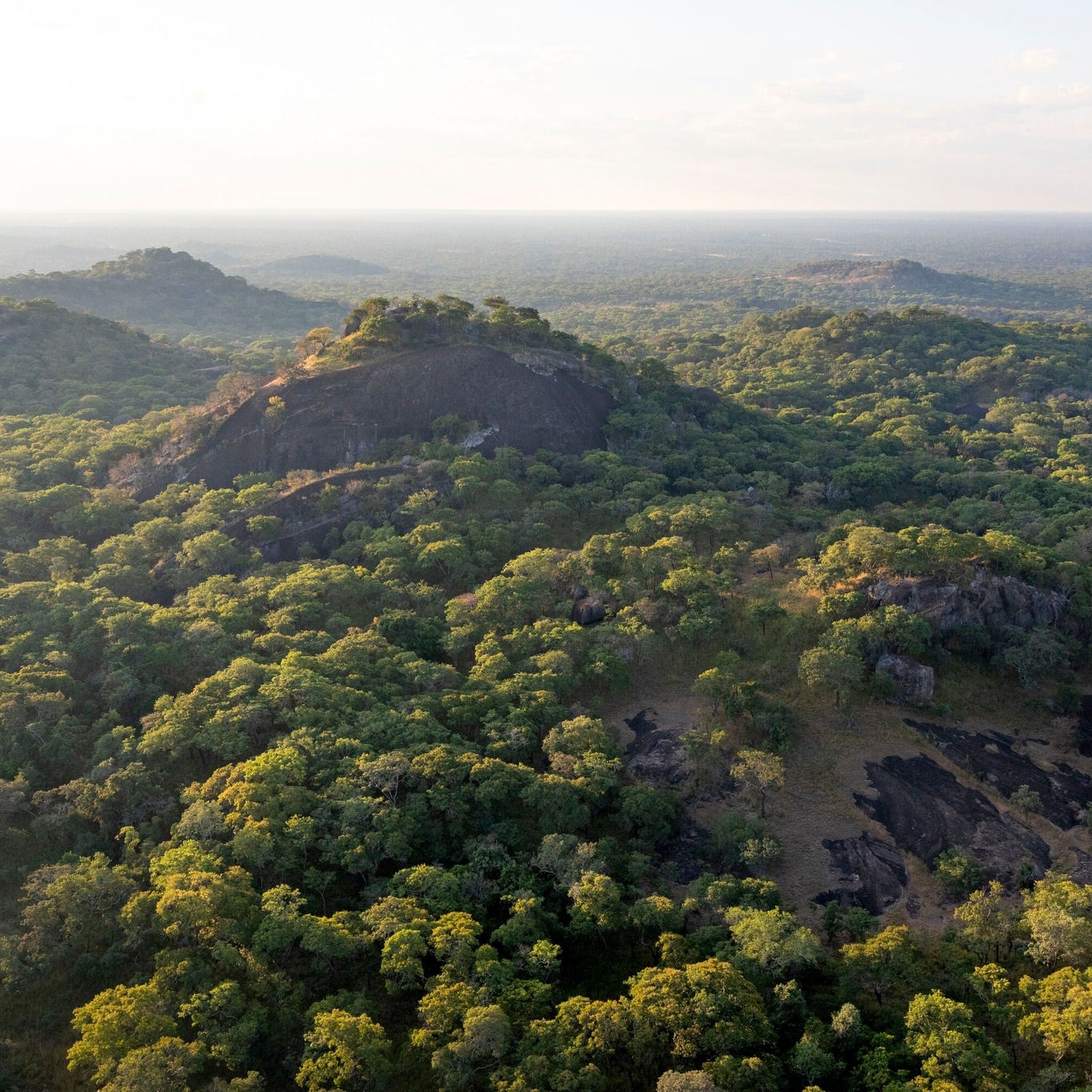 Kafue National Park 