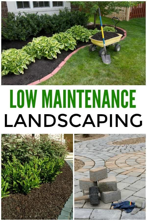 How to Plan Low-Maintenance Landscape