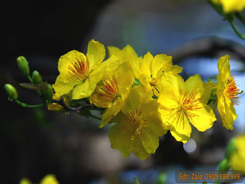 [تصویر:  AD_4nXdNtrfENIh58s5dCUrB95eEV1-27c1zbVtW...yqfSTNba6b]