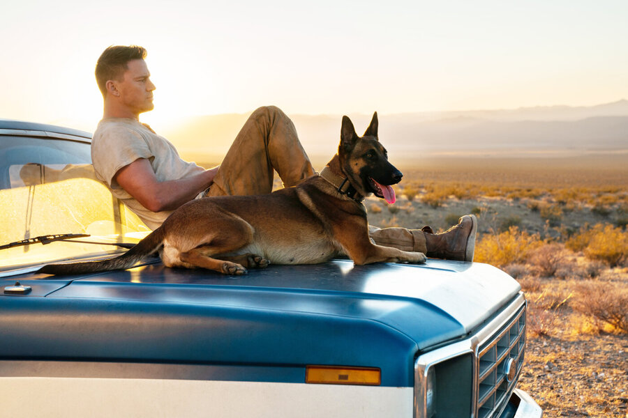 Hombre sentado en el capó de una camioneta junto a un perro pastor belga, con un paisaje de desierto y montañas al atardecer de fondo.