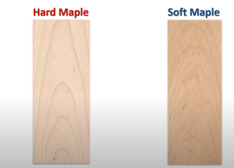 Soft maple wood vs Hard maple wood