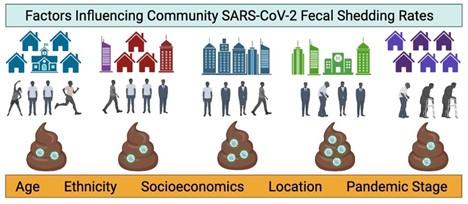 Fecal shedding rates