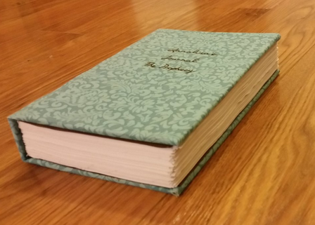 elowyn's analina's journal physical book side cover view
