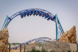 Manta • SeaWorld Yas Island, Abu Dhabi ...
