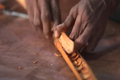 Tucking quillings in to pealed Ceylon cinnamon bark