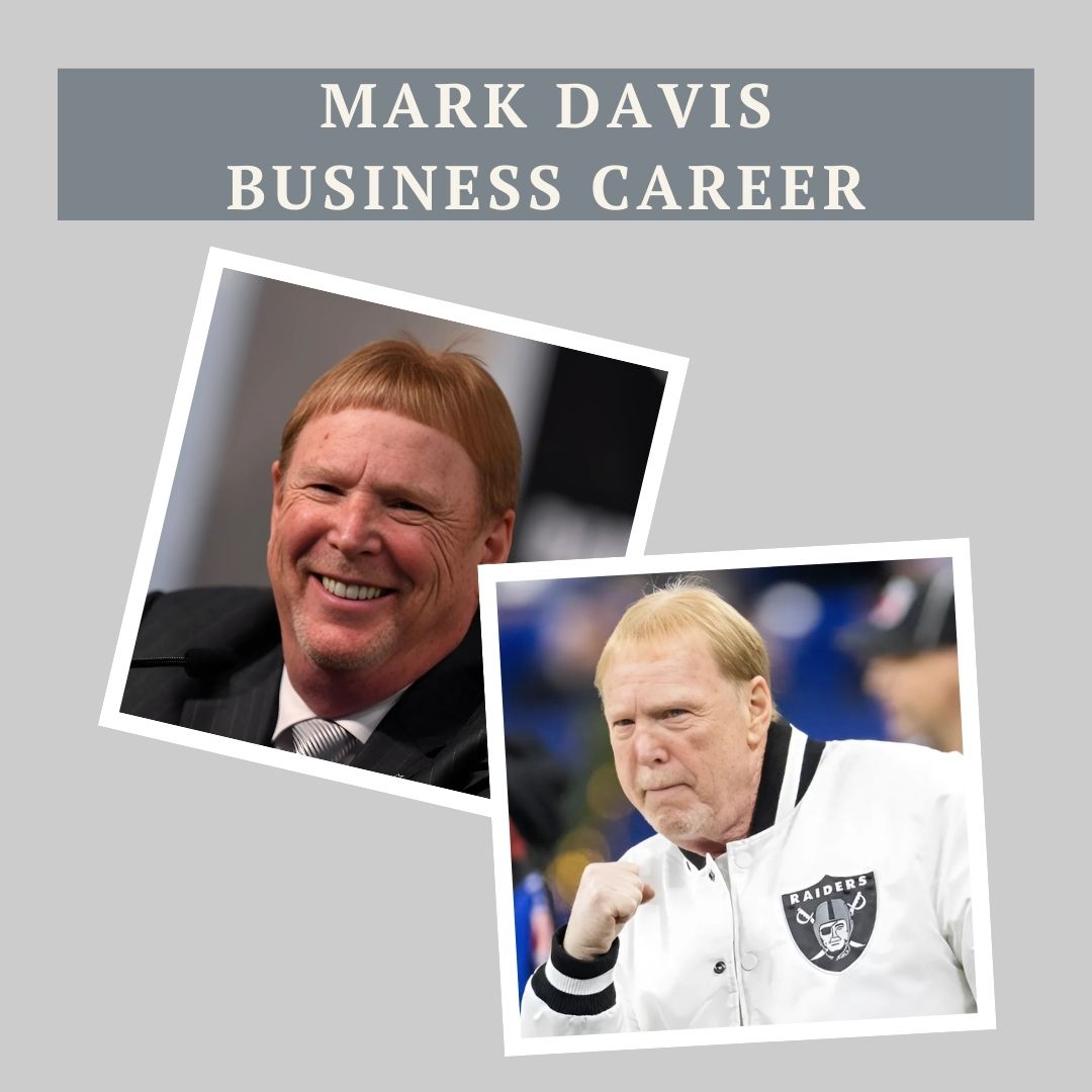 Mark Davis Business Career