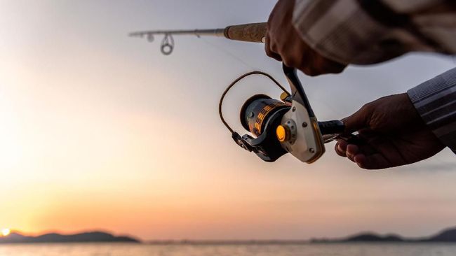 Mancing Ikan Bobot Tinggi: Tantangan Seru untuk Para Pemancing Sejati