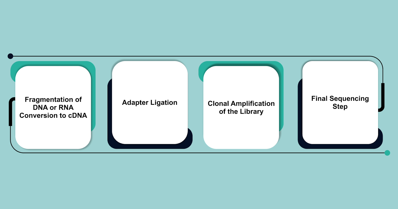 Key Steps in NGS Library Preparation