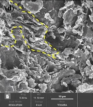 A close-up of a microscope

Description automatically generated