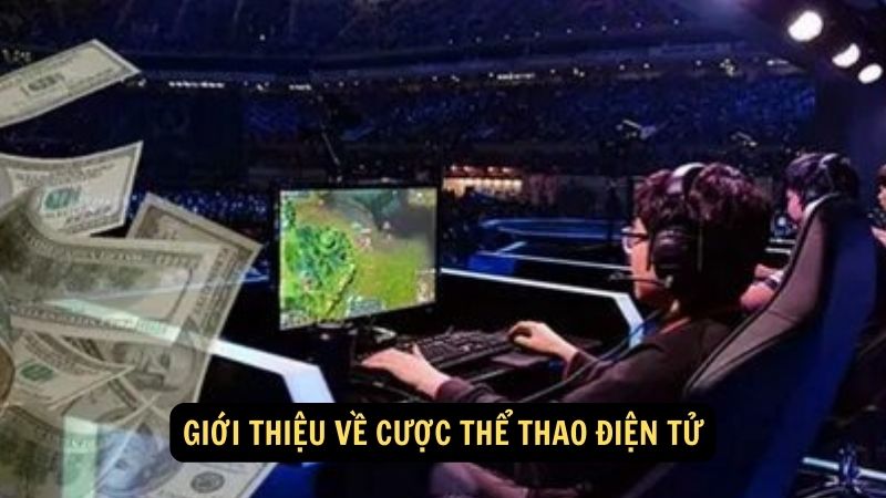 Giới thiệu về cược thể thao điện tử