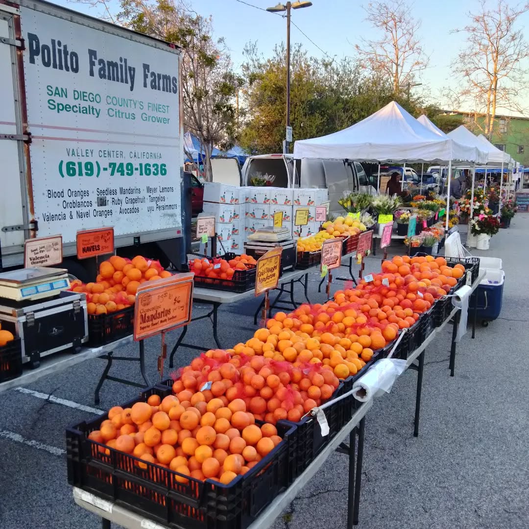Venice Farmers Market

