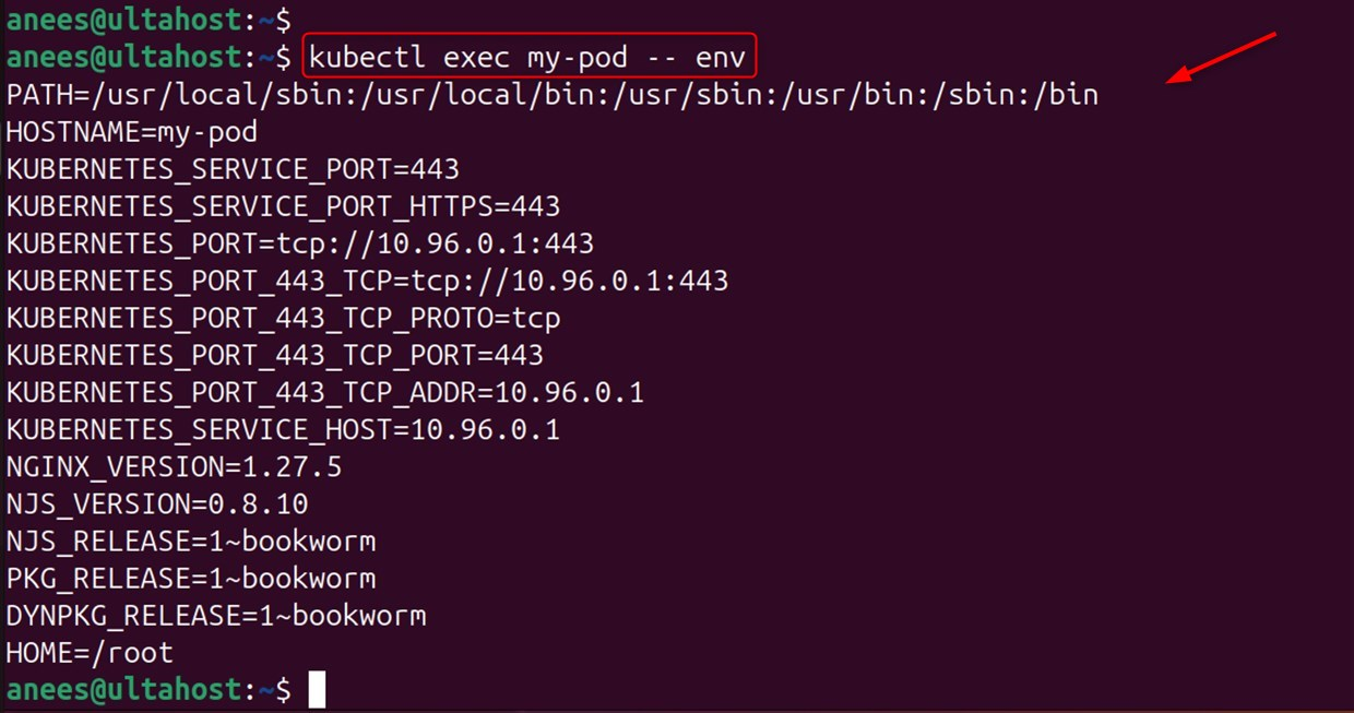 run commands with environment variable