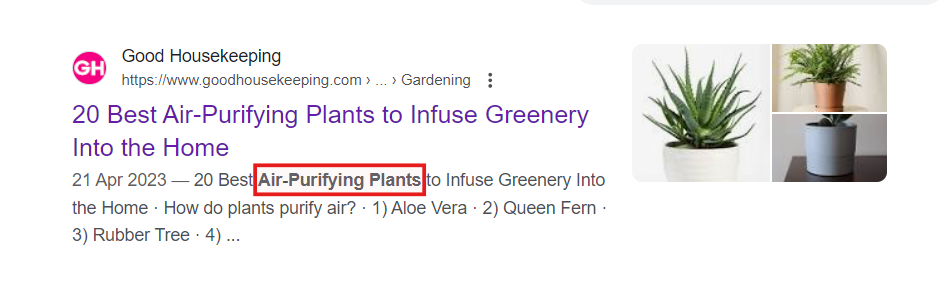 The primary keyword in the meta description