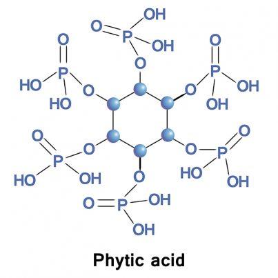 https://www.naturalpedia.com/wp-content/uploads/sites/292/2017/09/Phytic-acid-1-403x403.jpg