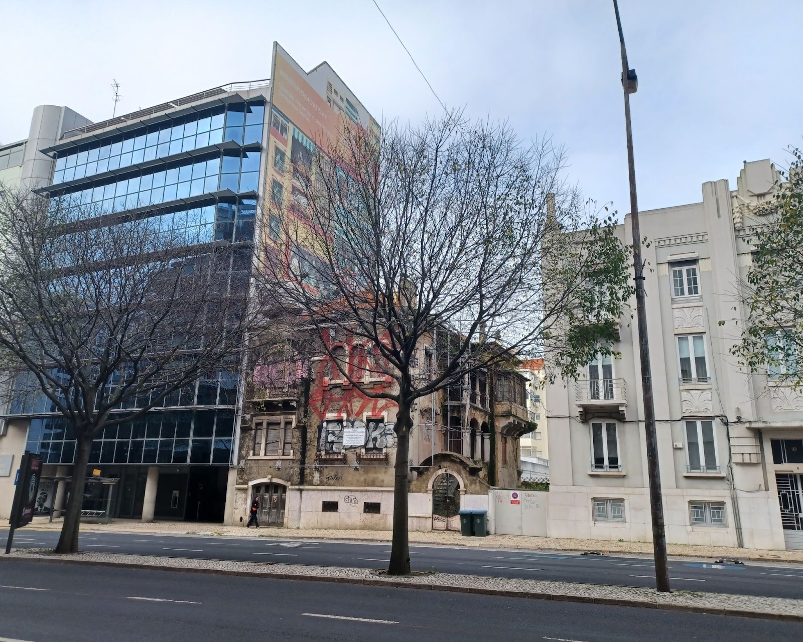 Leafless trees with tall buildings in the background.