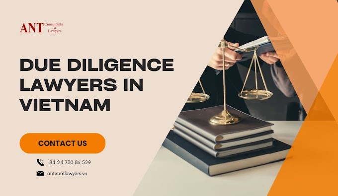 Invest Confidently: The Role of Due Diligence Lawyers in Vietnam