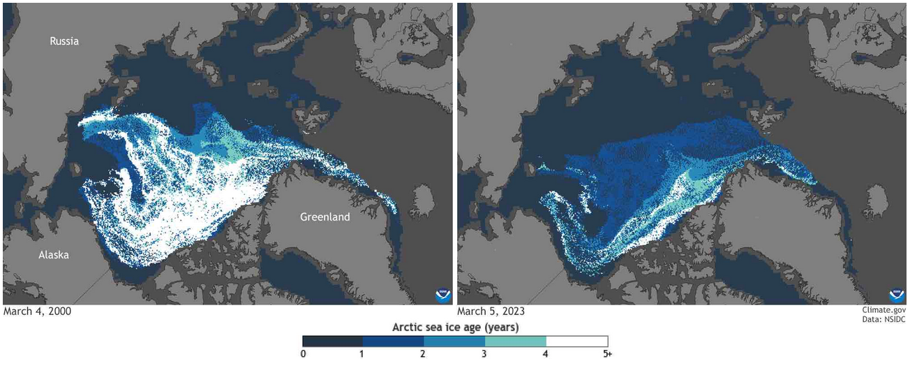 Reduction of Arctic Sea Ice and Sea Ice Age March 2000-2023. Source: Arctic Reflections