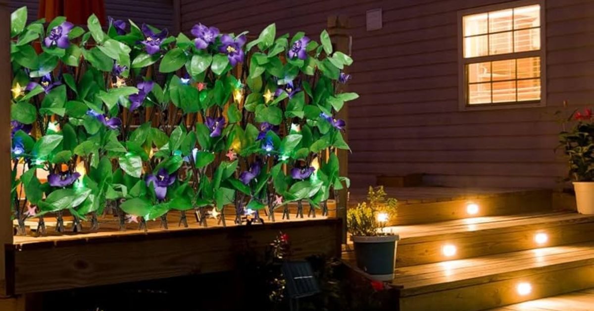 Solar Light Privacy Screens