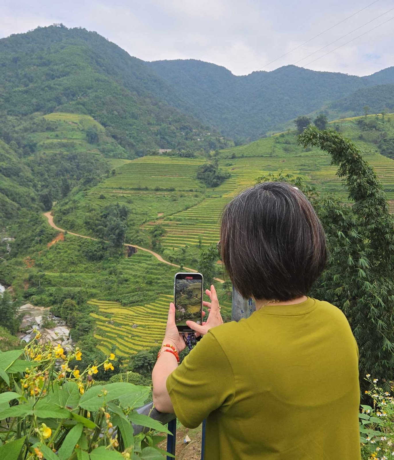 Rice terrace along the way to Sapa town