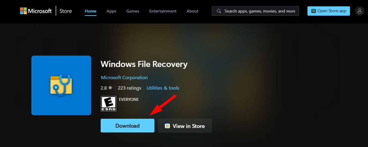 windows file recovery