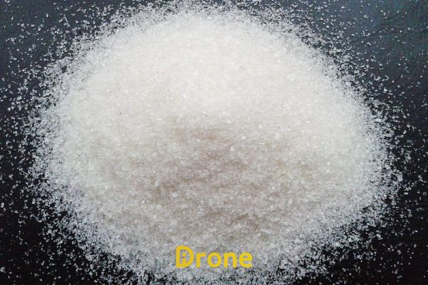 Bệnh nứt thân, xì mủ: Nguyên nhân, triệu chứng & cách phòng trị