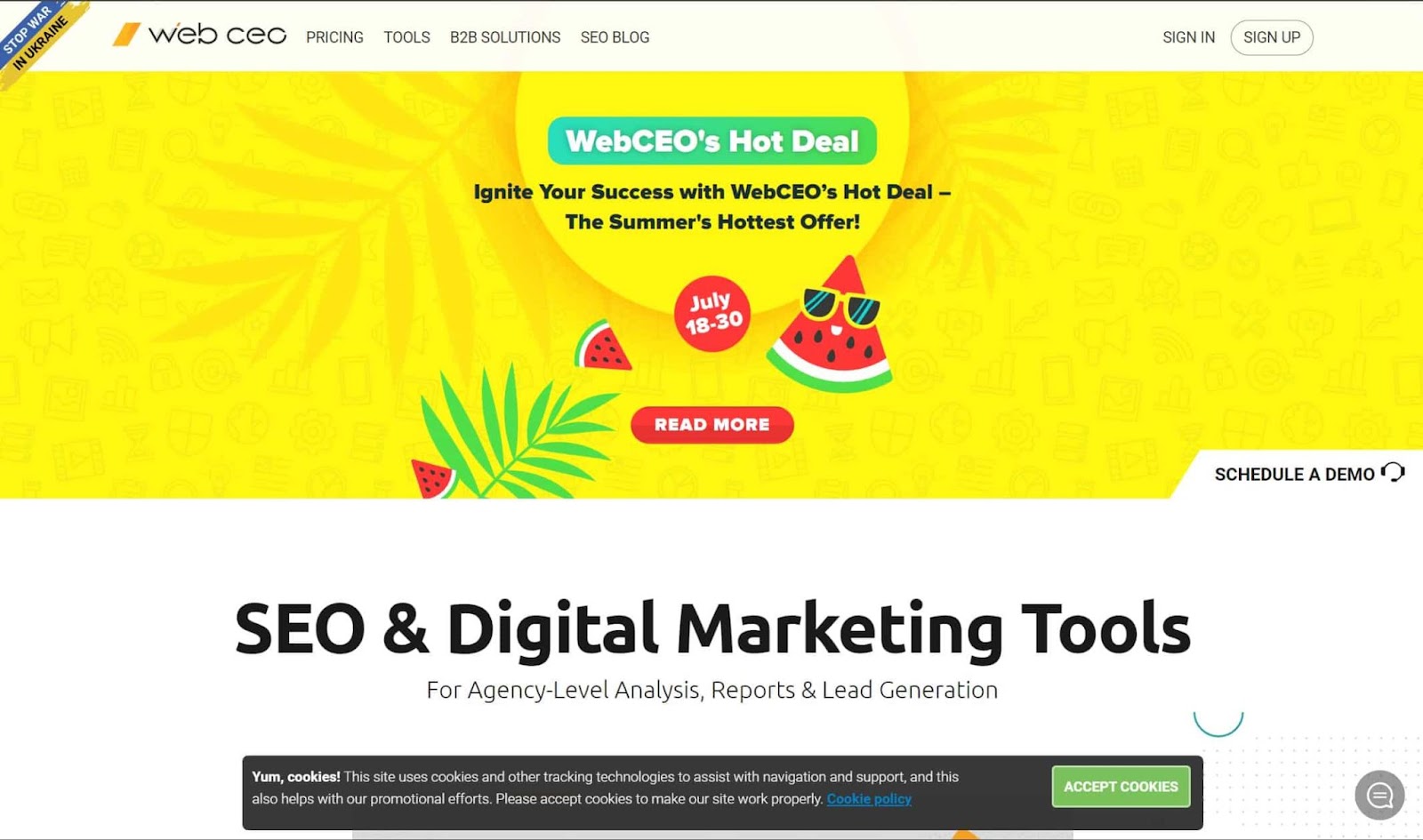 Screenshot of WebCEO website