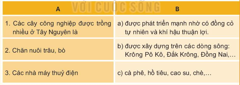 BÀI 21. DÂN CƯ VÀ HOẠT ĐỘNG SẢN XUẤT Ở VÙNG TÂY NGUYÊN 