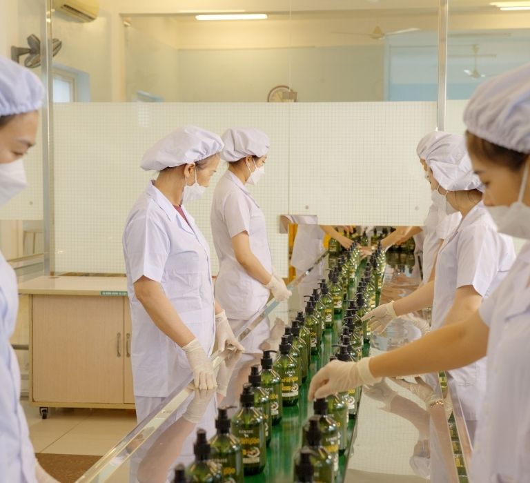 Công nghệ gia công dầu gội đầu trà xanh- Bí quyết cho mái tóc khỏe đẹp