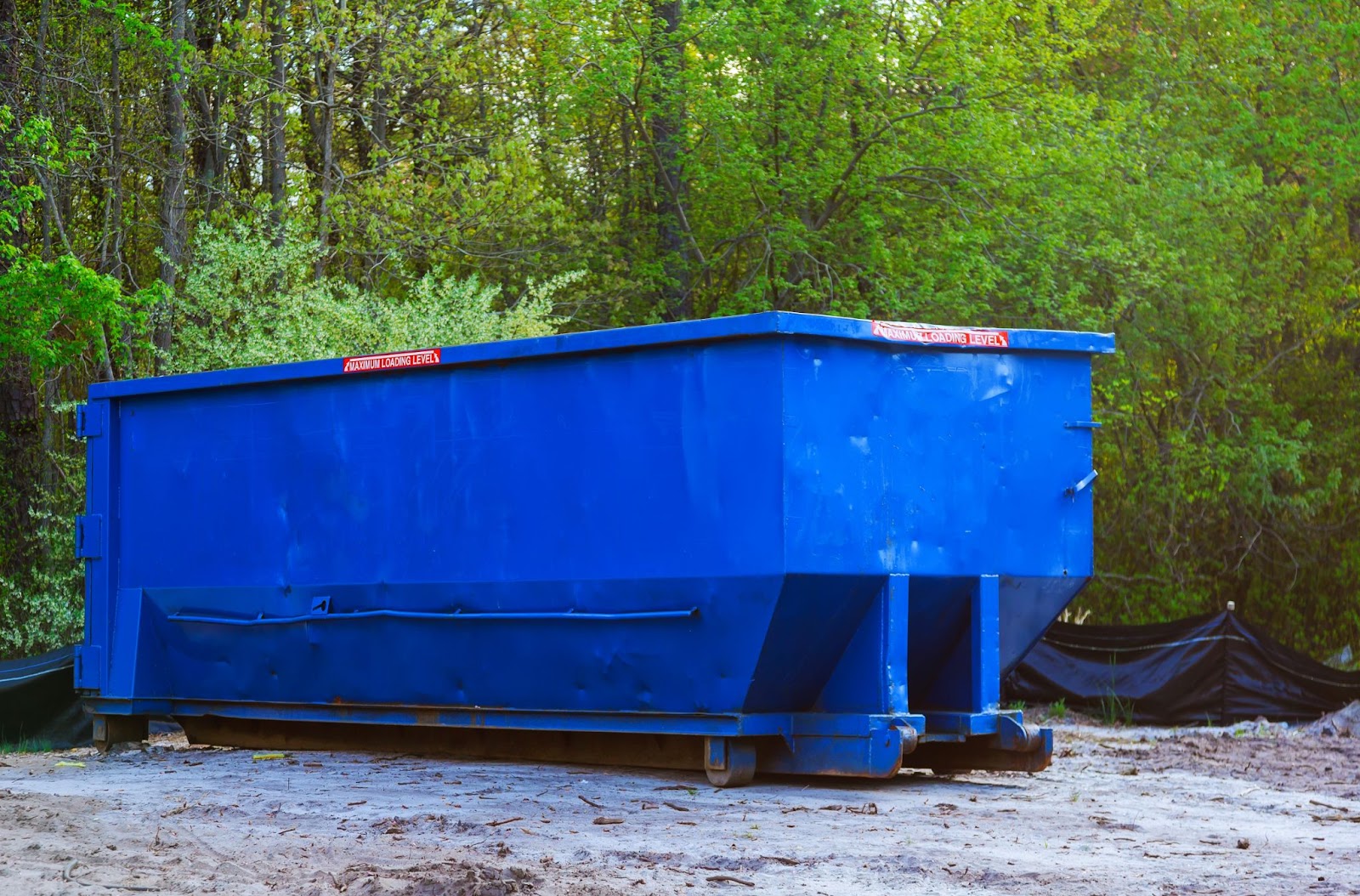 Commercial dumpster next to trees. 