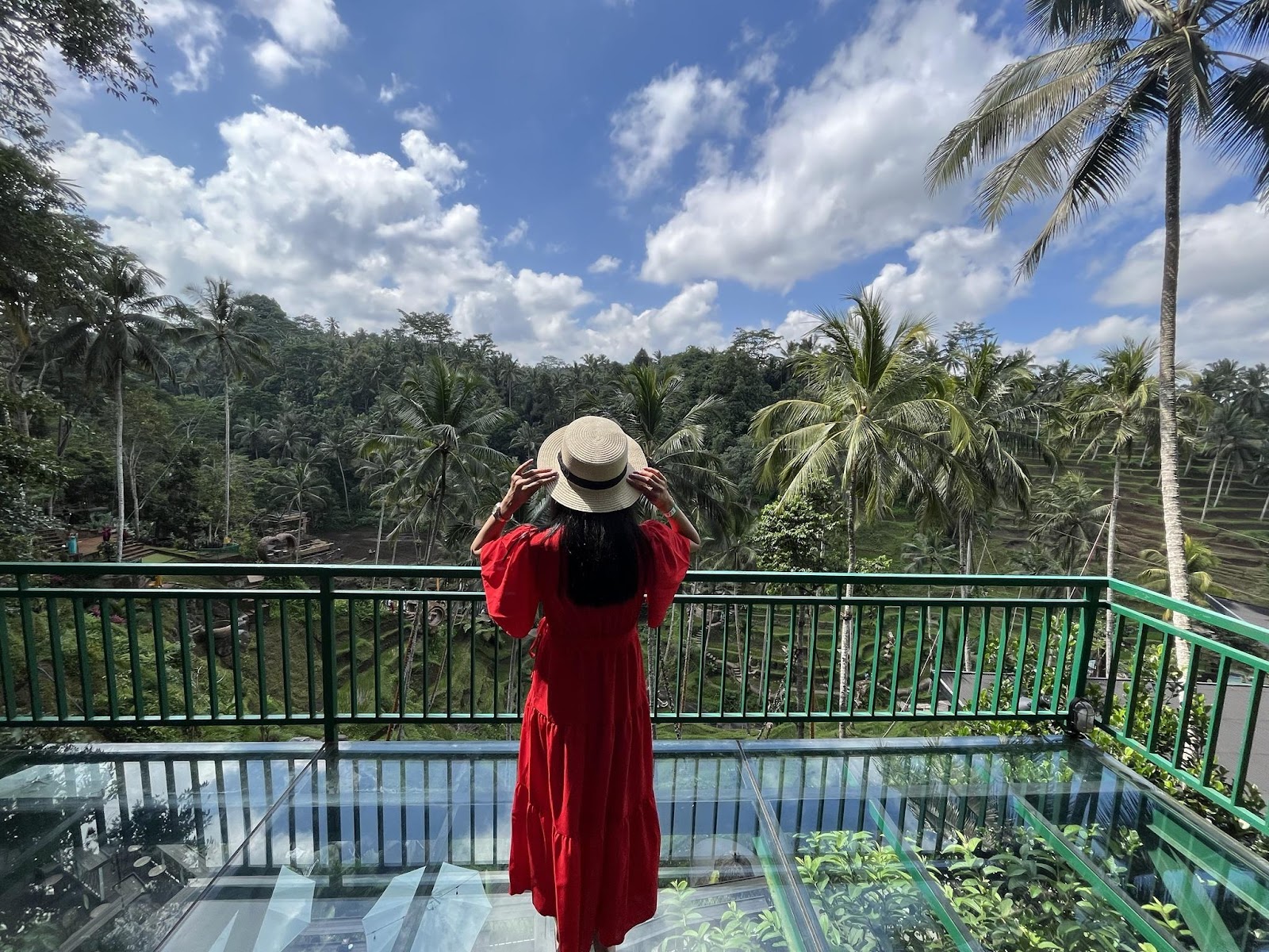 beautiful palm trees surrounding a rice terrace in ubud 