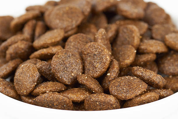 Diamond Naturals dog food