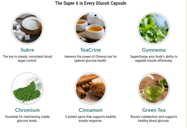 Gluco6 Reviews (New Update 2025): Does It Really Work or Just Hype? - Tribune-Review